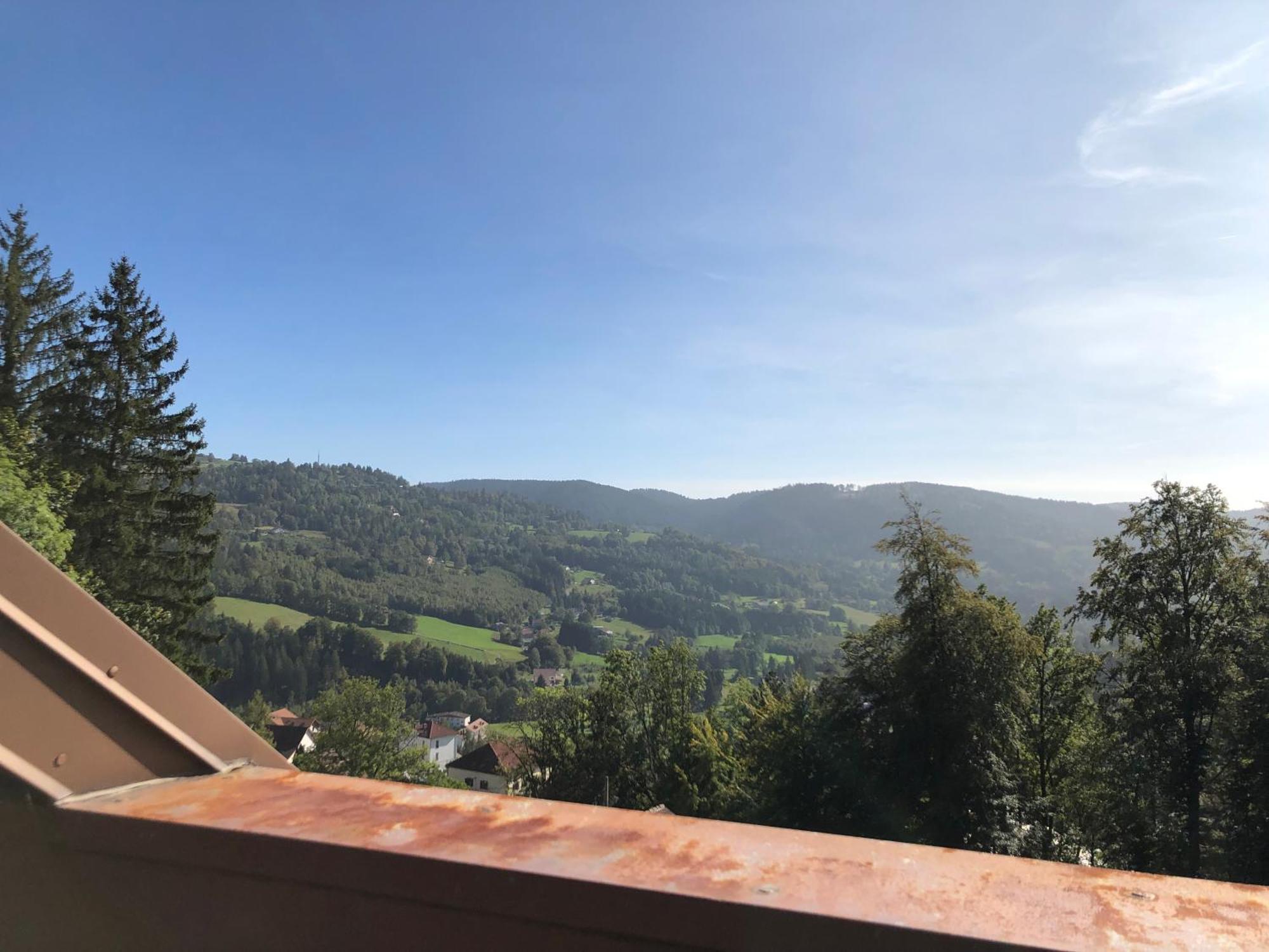 Duplex - Proche De Gerardmer Le Tholy Ngoại thất bức ảnh